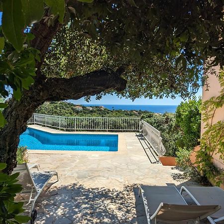 Villa Les Trois Chenes, Piscine Privee & Vue Mer Sur Golfe De Saint Tropez Les Issambres Eksteriør bilde